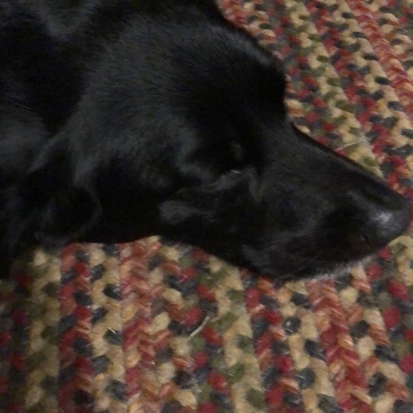 Meet your Posher, Anne - Picture 1 of 1